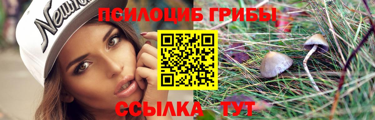 Галлюциногенные грибы прущие грибы  Вход с VPN  Абинск 