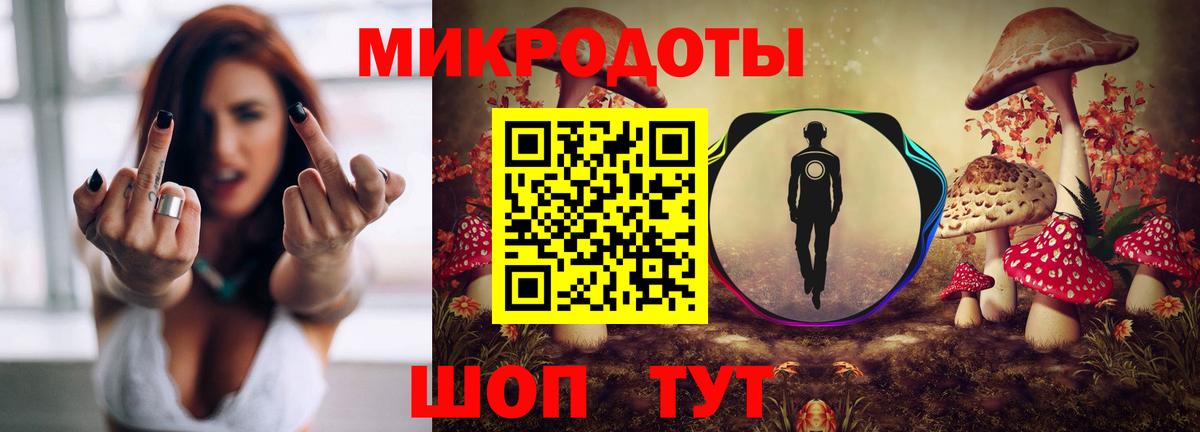 Псилоцибиновые грибы Cubensis Абинск